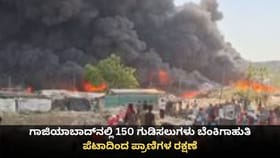 ಗಾಜಿಯಾಬಾದ್‌ನಲ್ಲಿ ಗುಡಿಸಲುಗಳು ಬೆಂಕಿಗಾಹುತಿ; ಪೆಟಾದಿಂದ ಪ್ರಾಣಿಗಳ ರಕ್ಷಣೆ