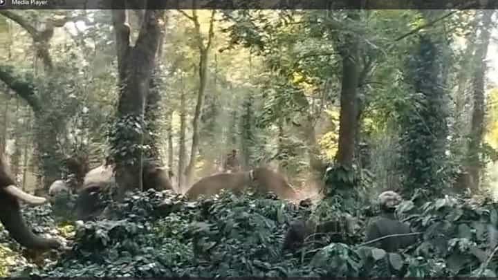 ಕಾಡಾನೆ ಸೆರೆ ಕಾರ್ಯಾಚರಣೆ ವೇಳೆ ದುರಂತ; ಕಾವಾಡಿಗನ ಮೇಲೆ ದಾಳಿ ಮಾಡಿದ ಸಾಕಾನೆ 'ಸುಗ್ರೀವ'! ಕಾಡಾನೆ ಸೆರೆ ಕಾರ್ಯಾಚರಣೆ ವೇಳೆ ದುರಂತ; ಕಾವಾಡಿಗನ ಮೇಲೆ ದಾಳಿ ಮಾಡಿದ ಸಾಕಾನೆ 'ಸುಗ್ರೀವ'!