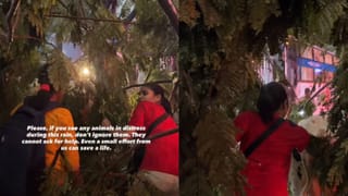 ವಿಧಾನಸೌಧ ಸುತ್ತಮುತ್ತಲಿನ ರಸ್ತೆಗಳಲ್ಲಿ ಕಳಪೆ ಕಾಮಗಾರಿ ಬಟಾಬಯಲು