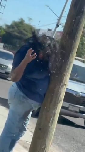 ಮಹಿಳೆ ಮೇಲೆ 200ಕ್ಕೂ ಜೇನುನೊಣಗಳಿಂದ ದಾಳಿ