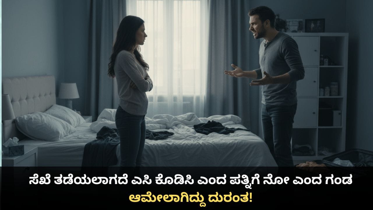 ಸೆಖೆ ತಡೆಯಲಾಗದೆ ಎಸಿ ಕೊಡಿಸಿ ಎಂದ ಪತ್ನಿಗೆ ನೋ ಎಂದ ಗಂಡ; ಆಮೇಲಾಗಿದ್ದು ದುರಂತ!