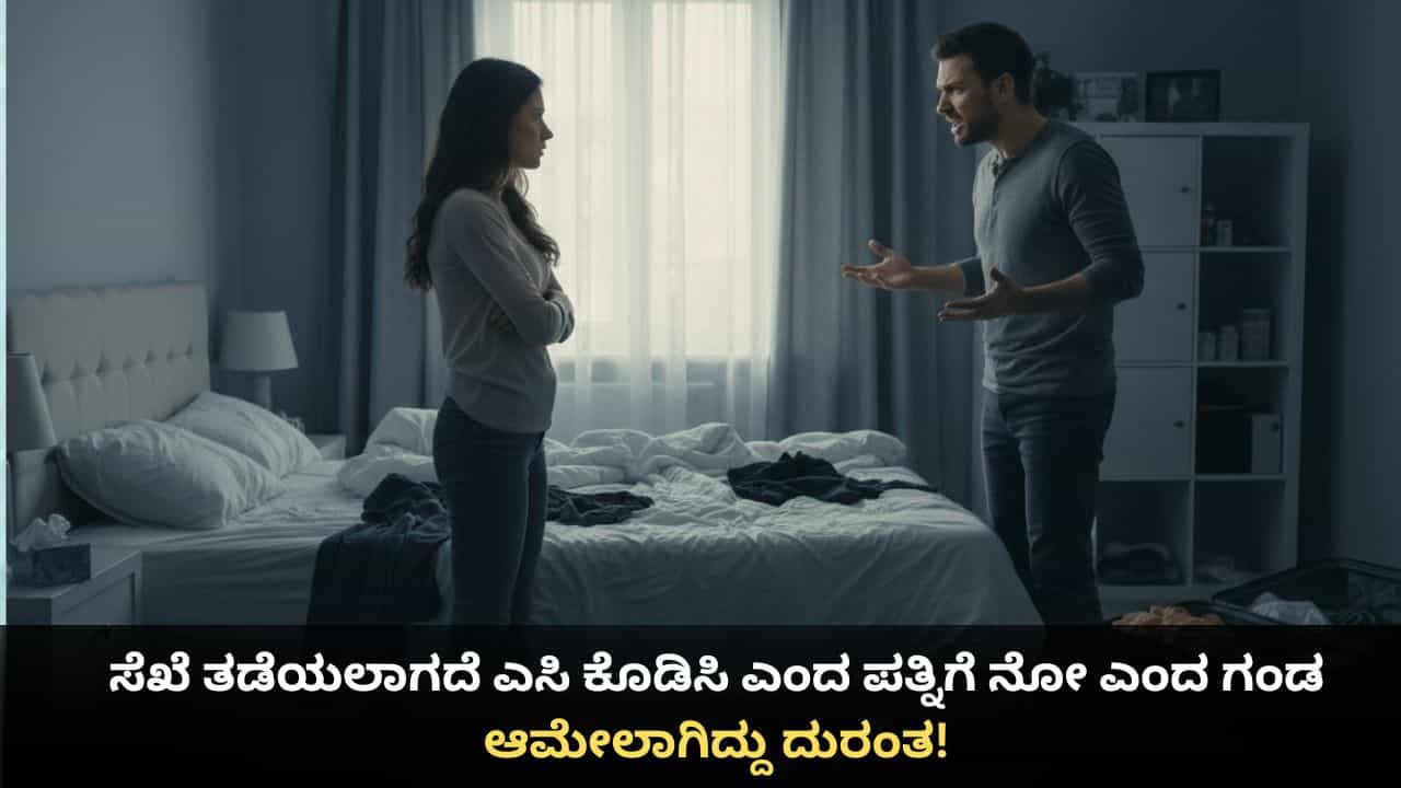 ಸೆಖೆ ತಡೆಯಲಾಗದೆ ಎಸಿ ಕೊಡಿಸಿ ಎಂದ ಪತ್ನಿಗೆ ನೋ ಎಂದ ಗಂಡ; ಆಮೇಲಾಗಿದ್ದು ದುರಂತ! ಸೆಖೆ ತಡೆಯಲಾಗದೆ ಎಸಿ ಕೊಡಿಸಿ ಎಂದ ಪತ್ನಿಗೆ ನೋ ಎಂದ ಗಂಡ; ಆಮೇಲಾಗಿದ್ದು ದುರಂತ!