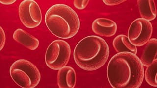 World Art Day 2026: ಏಪ್ರಿಲ್‌ 15 ರಂದೇ ಏಕೆ ವಿಶ್ವ ಕಲಾ ದಿನವನ್ನು ಆಚರಿಸುವುದು ಗೊತ್ತಾ?