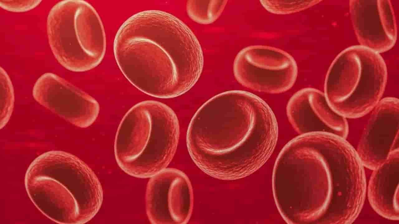 ಐರನ್ ಕೊರತೆ ಇದ್ಯಾ? ಹಾಗಿದ್ರೆ ಈ ಆಹಾರಗಳನ್ನು ನೀವು ಸೇವನೆ ಮಾಡಲೇಬೇಕು