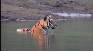 ಕಾಂಗ್ರೆಸ್ ಬಹಿರಂಗ ಸಭೆ ವೇಳೆ ಮೊಳಗಿದ ಅಝಾನ್, ಕೈ ಅಭ್ಯರ್ಥಿ ಮಾಡಿದ್ದೇನು ನೋಡಿ