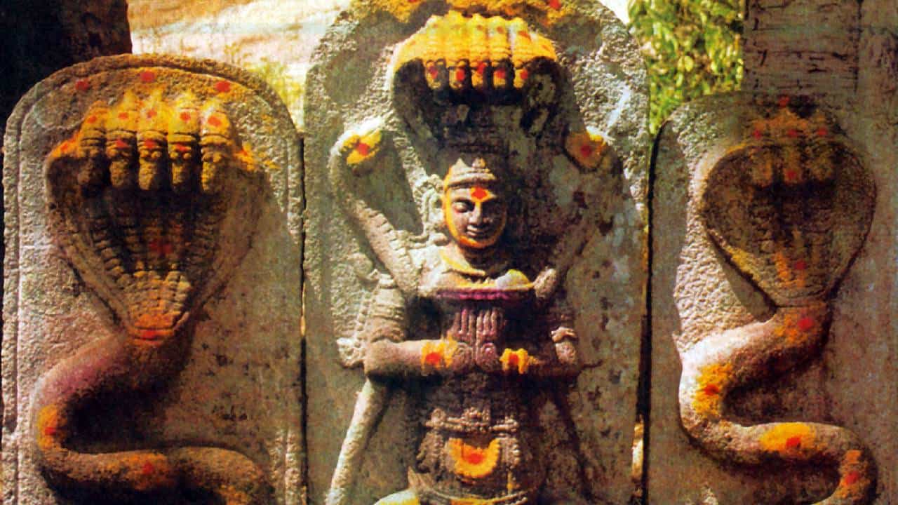 Kala Sarpa Dosh: ಜಾತಕದಲ್ಲಿ ಕಾಲಸರ್ಪ ದೋಷವಿದ್ದರೆ ತಿಳಿಯುವುದು ಹೇಗೆ? ಸಂಪೂರ್ಣ ಮಾಹಿತಿ ಇಲ್ಲಿದೆ Kala Sarpa Dosh: ಜಾತಕದಲ್ಲಿ ಕಾಲಸರ್ಪ ದೋಷವಿದ್ದರೆ ತಿಳಿಯುವುದು ಹೇಗೆ? ಸಂಪೂರ್ಣ ಮಾಹಿತಿ ಇಲ್ಲಿದೆ