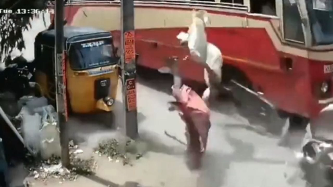 ಬಸ್ ಡಿಕ್ಕಿ ಹೊಡೆದ ರಭಸಕ್ಕೆ ಹಾರಿ ನೆಲಕ್ಕೆ ಬಿದ್ದ ಗಂಡ-ಹೆಂಡತಿ, ಮೈ ಜುಂ ಎನ್ನಿಸುವ ದೃಶ್ಯ