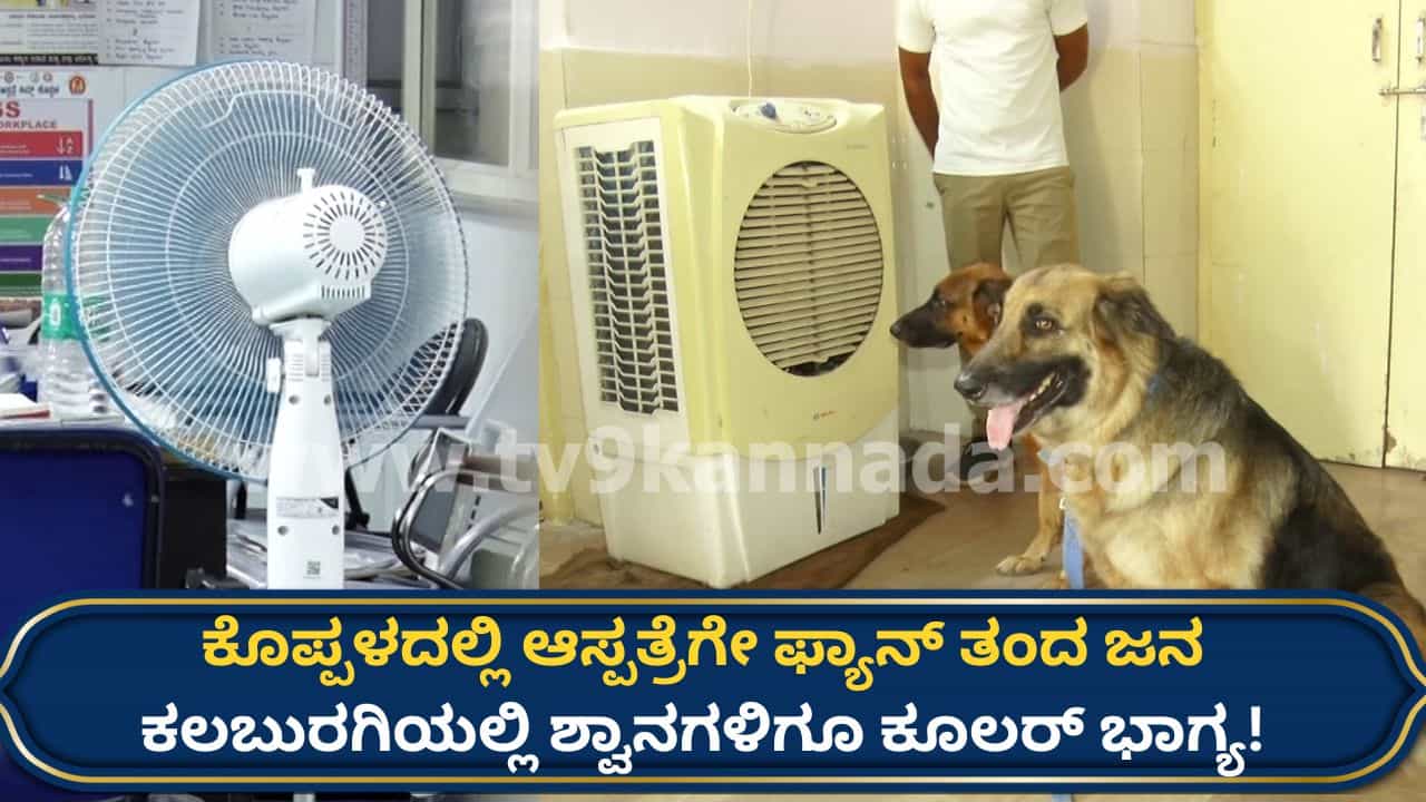 ಬಿಸಿಲ ಝಳಕ್ಕೆ ಬೆಂದ ಕರ್ನಾಟಕ: ಆಸ್ಪತ್ರೆಗೆ ಫ್ಯಾನ್ ತಂದ ಪೋಷಕರು, ಪೊಲೀಸ್ ಶ್ವಾನಗಳಿಗೂ ಕೂಲರ್-ಎಳನೀರು ಭಾಗ್ಯ!
