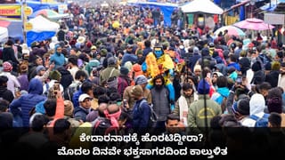 ವಿಷಕಾರಿ ಹಾವಿನಿಂದ 30 ಮಕ್ಕಳನ್ನು ಕಾಪಾಡಿ ಪ್ರಾಣ ಬಿಟ್ಟ ಬೀದಿ ನಾಯಿ ಕಾಳಿ!