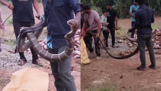 ವಿನಯ್ ಕುಲಕರ್ಣಿಗೆ ಜೀವಾವಧಿ ಶಿಕ್ಷೆ: ನಾನು ಅವತ್ತು ಆಡಿದ ಮಾತು ಸತ್ಯವಾಗಿದೆ ಎಂದ ಬಿ.ಎಸ್​​.ಯಡಿಯೂರಪ್ಪ