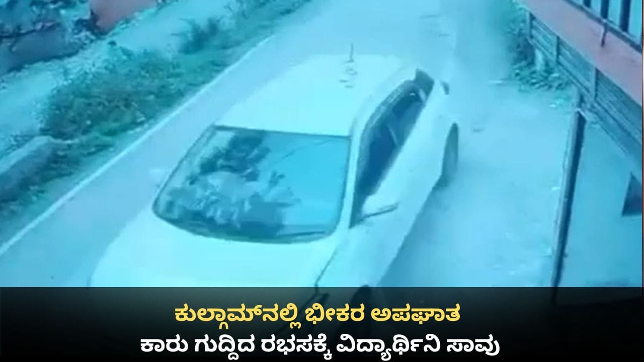 ಕುಲ್ಗಾಮ್​ನಲ್ಲಿ ಭೀಕರ ಅಪಘಾತ; ಕಾರು ಗುದ್ದಿದ ರಭಸಕ್ಕೆ ವಿದ್ಯಾರ್ಥಿನಿ ಸಾವು