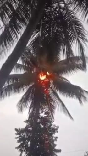 ಗದಗ: ಸಿಡಿಲಾರ್ಭಟಕ್ಕೆ ಹೊತ್ತಿ ಉರಿದ ತೆಂಗಿನ ಮರ