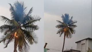 ಬಡ ಕುಟುಂಬಗಳಿಗೆ ದಿನಸಿ ದಾನ ಮಾಡಿದ ಬಿಗ್​ಬಾಸ್ ಜಾನ್ಹವಿ: ವಿಡಿಯೋ