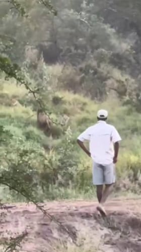 ಯಮನಂತೆ ಎದುರಾದ ಮೃಗರಾಜ: ಪ್ರಾಣ ಕೈಯಲ್ಲಿ ಹಿಡಿದು ನಿಂತ ಪ್ರವಾಸಿಗ