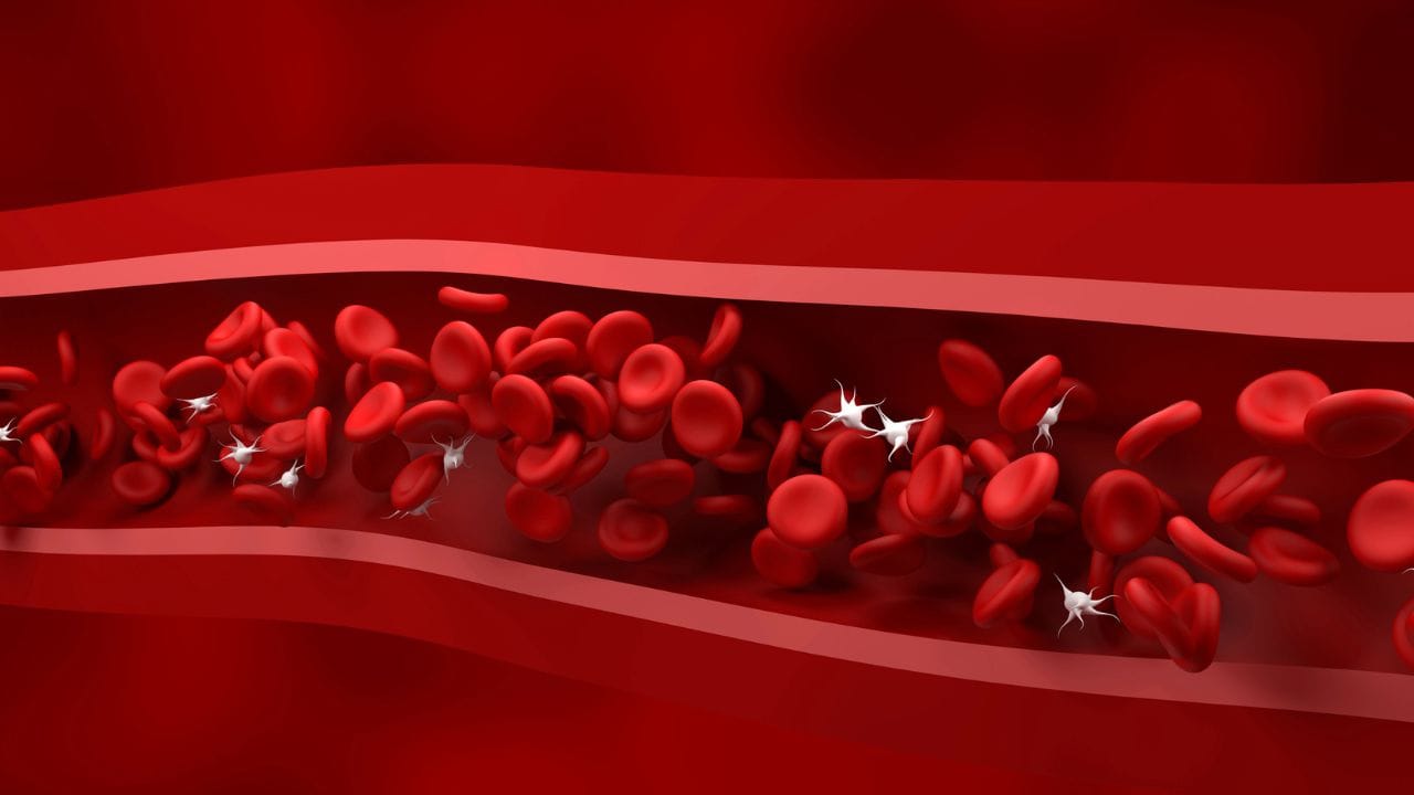 ದೇಹದಲ್ಲಿ ಪ್ಲೇಟ್‌ಲೆಟ್‌ಗಳು ಕಡಿಮೆಯಾಗುವುದಕ್ಕೆ ಈ ರೋಗಗಳೇ ಕಾರಣ ಎಂಬುದು ತಿಳಿದಿದೆಯೇ?