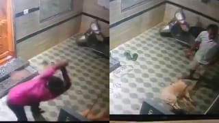 ಎರಡು ಬೆಕ್ಕುಗಳ ಮಿಲನ, ನಾಲ್ಕು ಮರಿ ಜನನ: ಮಾಲೀಕರ ಕಿತ್ತಾಟ ಜೋರಾದ ಬೆನ್ನಲ್ಲೇ ಪೊಲೀಸ್ ಎಂಟ್ರಿ!