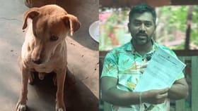 ಬೀದಿ ನಾಯಿಗೆ ಅನ್ನ ಹಾಕಿದವನಿಗೆ ಪಂಚಾಯತ್ ನೋಟಿಸ್!