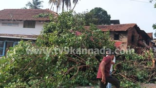 ಭಾರಿ ಗಾಳಿ ಮಳೆಗೆ ಮನೆ ಮೇಲೆ ಬಿತ್ತು ಬೃಹದಾಕಾರದ ಅಶ್ವತ್ಥ ಮರ: ಪವಾಡಸದೃಶ ರೀತಿಯಲ್ಲಿ ಪಾರಾದ ಕುಟುಂಬ