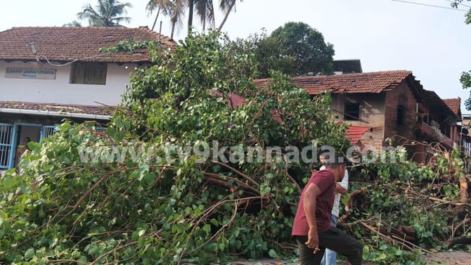 ಭಾರಿ ಗಾಳಿ ಮಳೆಗೆ ಮನೆ ಮೇಲೆ ಬಿತ್ತು ಬೃಹತ್ ಅಶ್ವತ್ಥ ಮರ: ಜನ ಜಸ್ಟ್ ಮಿಸ್!