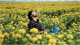 ‘ಟಾಕ್ಸಿಕ್’ ಜಾಗ ತುಂಬಲು ಬರ್ತಿದೆ ‘ಮ್ಯಾಂಗೋ ಪಚ್ಚ’; ಕಿಚ್ಚನ ಘೋಷಣೆ