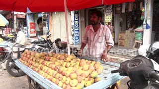 ಬೆಳೆಗಾರರ ಪಾಲಿಗೆ ಹಣ್ಣಿನ ರಾಜ ಈಗ ಕಹಿ! ಮಾವಿನ ಹಣ್ಣಿನ ಬೆಲೆ ದಿಢೀರ್ ಬೆಲೆ ಕುಸಿತ, ರೈತರು ಕಂಗಾಲು
