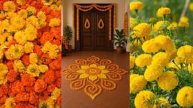 ಲಕ್ಷ್ಮಿ ಕೃಪೆಗೆ ಮನೆಯ ಈ ದಿಕ್ಕಿನಲ್ಲಿ ಈ ಒಂದು ಗಿಡ ನೆಡಿ