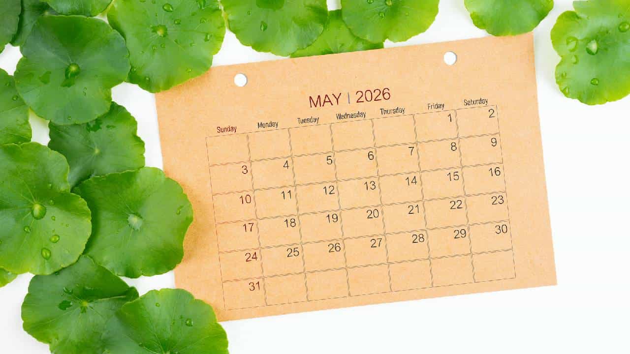 Important Days In May 2026: ಮೇ ತಿಂಗಳ ಪ್ರಮುಖ ರಾಷ್ಟ್ರೀಯ-ಅಂತಾರಾಷ್ಟ್ರೀಯ ಕಾರ್ಯಕ್ರಮಗಳ ಪಟ್ಟಿ ಇಲ್ಲಿದೆ Important Days In May 2026: ಮೇ ತಿಂಗಳ ಪ್ರಮುಖ ರಾಷ್ಟ್ರೀಯ-ಅಂತಾರಾಷ್ಟ್ರೀಯ ಕಾರ್ಯಕ್ರಮಗಳ ಪಟ್ಟಿ ಇಲ್ಲಿದೆ