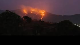 ಧಗಧಗಿಸಿದ ಮಲೆ ಮಹದೇಶ್ವರ ಬೆಟ್ಟಡ ಒಡಲು: 100 ಎಕರೆಗೂ ಅಧಿಕ ವನಸಂಪತ್ತು ನಾಶ