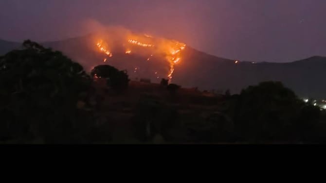 ಧಗಧಗಿಸಿದ ಮಲೆ ಮಹದೇಶ್ವರ ಬೆಟ್ಟಡ ಒಡಲು: 100 ಎಕರೆಗೂ ಅಧಿಕ ವನಸಂಪತ್ತು ನಾಶ