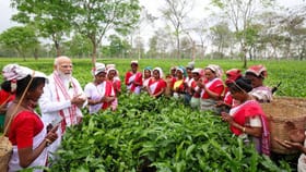 ಕಾರ್ಮಿಕರೊಂದಿಗೆ ಚಹಾ ಎಲೆಗಳ ಕಿತ್ತ ಪ್ರಧಾನಿ ಮೋದಿ