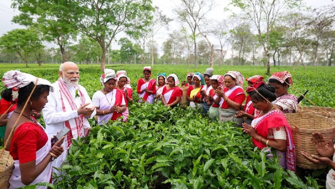 ಕಾರ್ಮಿಕರೊಂದಿಗೆ ಚಹಾ ಎಲೆಗಳ ಕಿತ್ತ ಪ್ರಧಾನಿ ಮೋದಿ