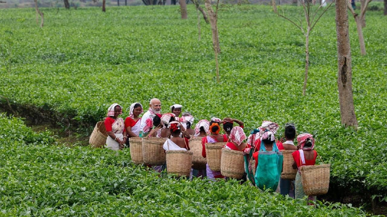 ಪ್ರಧಾನಿ ಧೆಮಾಜಿ ಮತ್ತು ಢಕುವಾಖಾ ವಿಧಾನಸಭಾ ಕ್ಷೇತ್ರಗಳ ಬಿಜೆಪಿ ಅಭ್ಯರ್ಥಿಗಳಾದ ರಾನೋಜ್ ಪೆಗು ಮತ್ತು ನಬಾ ಕುಮಾರ್ ಡೋಲೆ ಪರ ಪ್ರಚಾರ ಮಾಡಲಿದ್ದಾರೆ. 2016 ರಲ್ಲಿ ಅಸ್ಸಾಂನಲ್ಲಿ ಮೊದಲ ವಿಧಾನಸಭಾ ಚುನಾವಣೆಯಲ್ಲಿ ಬಿಜೆಪಿ ಜಯಗಳಿಸಿದಾಗಿನಿಂದ ಬಿಜೆಪಿ ನೇತೃತ್ವದ ಎನ್‌ಡಿಎ ಅಧಿಕಾರದಲ್ಲಿದೆ.
