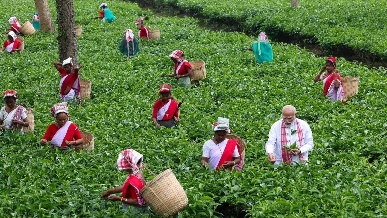 ಪ್ರಧಾನಿ ಮೊದಲು ಧೇಮಾಜಿಯ ಗೋಗಮುಖದಲ್ಲಿ ನಡೆಯುವ ರ್ಯಾಲಿಯನ್ನು ಉದ್ದೇಶಿಸಿ ಮಾತನಾಡಲಿದ್ದಾರೆ, ನಂತರ ಮಧ್ಯಾಹ್ನ 1 ಗಂಟೆಯ ಸುಮಾರಿಗೆ ಬಿಸ್ವಾನಾಥ್ ಜಿಲ್ಲೆಯಲ್ಲಿ ಎರಡನೇ ಸಾರ್ವಜನಿಕ ಸಭೆಯನ್ನು ಉದ್ದೇಶಿಸಿ ಮಾತನಾಡಲಿದ್ದಾರೆ. ಹಿರಿಯ ಬಿಜೆಪಿ ನಾಯಕರು ಮತ್ತು ರಾಜ್ಯ ಸಚಿವರು ಎರಡೂ ಕಾರ್ಯಕ್ರಮಗಳಲ್ಲಿ ಭಾಗವಹಿಸುವ ನಿರೀಕ್ಷೆಯಿದೆ.
