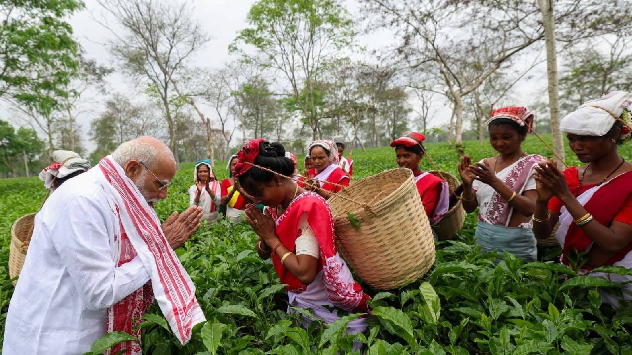 ಅಸ್ಸಾಂ ರಾಜ್ಯ ಪೋರ್ಟಲ್​ನ ವರದಿ ಪ್ರಕಾರ, ರಾಜ್ಯವು ವಾರ್ಷಿಕವಾಗಿ ಸುಮಾರು 630–700 ಮಿಲಿಯನ್ ಕೆಜಿ ಚಹಾವನ್ನು ಉತ್ಪಾದಿಸುತ್ತದೆ, ಇದು ಭಾರತದ ಒಟ್ಟು ಉತ್ಪಾದನೆಯ ಅರ್ಧಕ್ಕಿಂತ ಹೆಚ್ಚಿನದನ್ನು ಹೊಂದಿದೆ.
