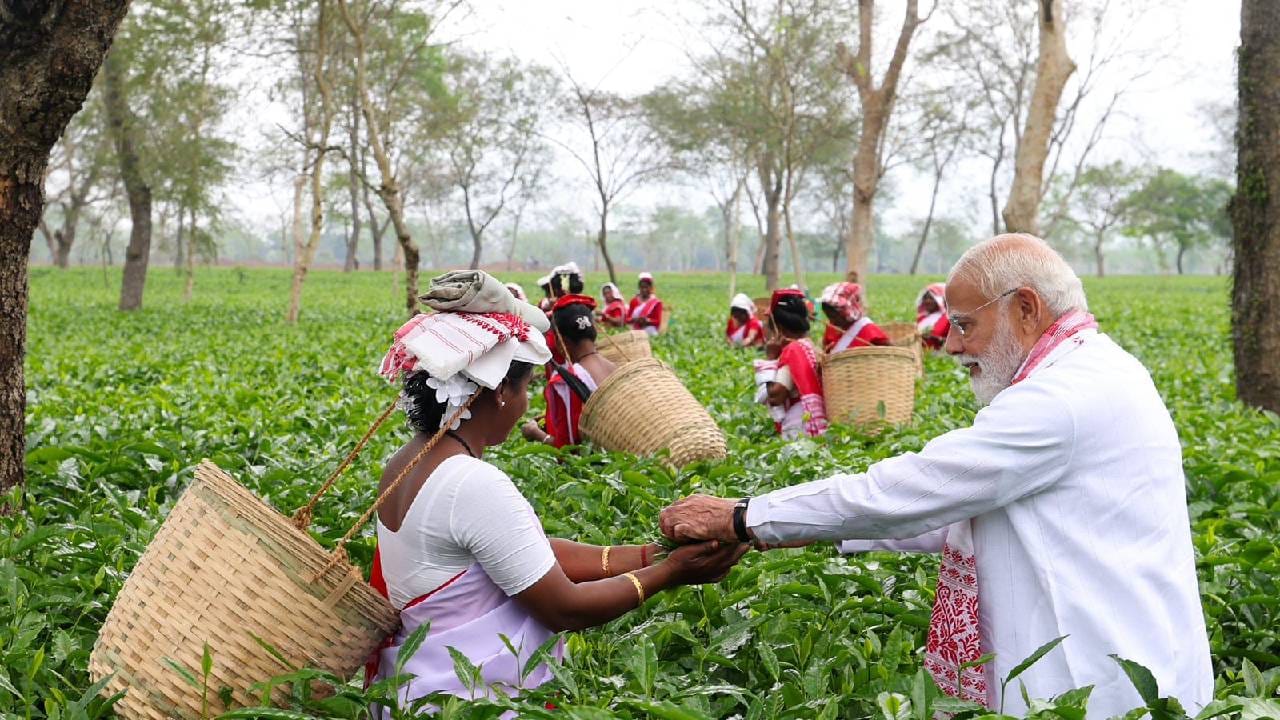 ಪ್ರತಿಯೊಂದು ಚಹಾ ತೋಟಗಾರ ಕುಟುಂಬಗಳ ಪ್ರಯತ್ನಗಳ ಬಗ್ಗೆ ನಮಗೆ ತುಂಬಾ ಹೆಮ್ಮೆ ಇದೆ.ಅವರ ಕಠಿಣ ಪರಿಶ್ರಮ ಮತ್ತು ಪರಿಶ್ರಮ ಅಸ್ಸಾಂನ ಹೆಮ್ಮೆಯನ್ನು ಹೆಚ್ಚಿಸಿದೆ. ದಿಬ್ರುಗಢದ ಚಹಾ ತೋಟದ ಕೆಲವು ನೋಟಗಳು ಇಲ್ಲಿವೆ ಎಂದು ಪ್ರಧಾನಿ ಬರೆದುಕೊಂಡಿದ್ದಾರೆ.
