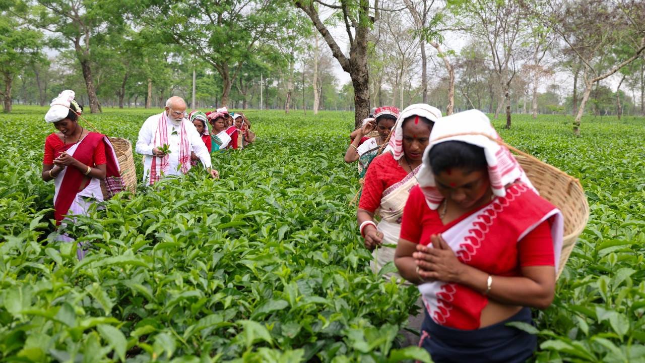 ಇಂದು ಬೆಳಗ್ಗೆ ದಿಬ್ರುಗಢದಲ್ಲಿ, ನಾನು ಒಂದು ಚಹಾ ತೋಟಕ್ಕೆ ಭೇಟಿ ನೀಡಿ ಇಲ್ಲಿ ಕೆಲಸ ಮಾಡುತ್ತಿರುವ ಮಹಿಳೆಯರೊಂದಿಗೆ ಸಂವಹನ ನಡೆಸಿದೆ. ಇದು ಬಹಳ ಸ್ಮರಣೀಯ ಅನುಭವವಾಗಿತ್ತು ಎಂದು ಪ್ರಧಾನಿ ಮೋದಿ ಎಕ್ಸ್​ನಲ್ಲಿ ಬರೆದುಕೊಂಡಿದ್ದಾರೆ.
