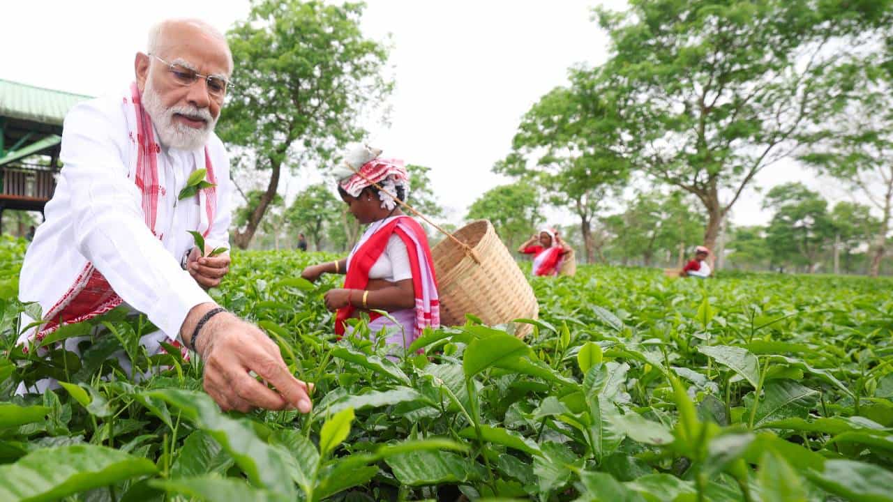 ಪ್ರಧಾನಿ ನರೇಂದ್ರ ಮೋದಿ ಅಸ್ಸಾಂನಲ್ಲಿ ಎರಡು ಚುನಾವಣಾ ರ್ಯಾಲಿಗೂ ಮುನ್ನ ದಿಬ್ರುಗಢದಲ್ಲಿರುವ ಚಹಾ ತೋಟಕ್ಕೆ ಭೇಟಿ ನೀಡಿದ್ದಾರೆ. ಅವರು ಚಹಾವನ್ನು ಅಸ್ಸಾಂನ ಆತ್ಮವೆಂದು ಬಣ್ಣಿಸಿದ್ದಾರೆ. ಇಲ್ಲಿಂದ ಬರುವ ಚಹಾ ಪ್ರಪಂಚದಾದ್ಯಂತ ತಲುಪಿದೆ ಎಂದು ಪ್ರಧಾನಿ ಮೋದಿ ಹೇಳಿದ್ದಾರೆ.