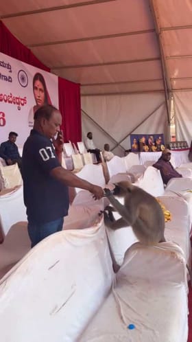 ಕ್ರಿಕೆಟ್ ಮೈದಾನಕ್ಕೇ ಬಂದು ನೀರು ಕುಡಿದ ಕೋತಿ!