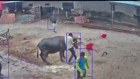 ಕಣ್ಣಿಗೆ ಕಂಡವರಿಗೆಲ್ಲಾ ಎಗರಿ.. ಎಗರಿ ಕಚ್ಚಿದ ನಾಯಿ