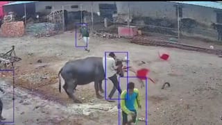 ಪೆಟ್ರೋಲ್ ಬಂಕ್​ನಲ್ಲಿ ಡೀಸೆಲ್​ನಿಂದ ಗಾಡಿ ತೊಳೆದ ಯುವಕ!