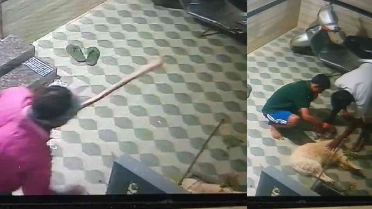 ಪತ್ನಿಯನ್ನ ನೋಡಿ ಬೊಗಳಿದ್ದಕ್ಕೆ ಸ್ಕೂಬಿ ಮೇಲೆ ಕ್ರೌರ್ಯ ಮೆರೆದ ಪತಿ: ಪೊಲೀಸ್ ಮೆಟ್ಟಿಲೇರಿದ ನಾಯಿ ಗಲಾಟೆ