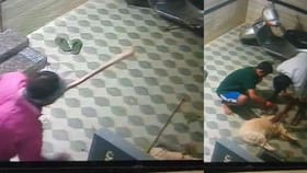 ಪತ್ನಿಯನ್ನ ನೋಡಿ ಬೊಗಳಿದ್ದಕ್ಕೆ ಸ್ಕೂಬಿ ನಾಯಿ ಮೇಲೆ ಕ್ರೌರ್ಯ ಮೆರೆದ ಪತಿ