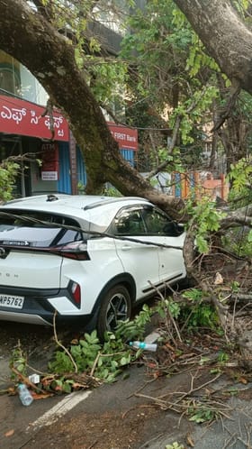 ಬೃಹತ್ ಮರ ಬಿದ್ದು ನೆಕ್ಸಾನ್ ಕಾರು ಅಪ್ಪಚ್ಚಿ!