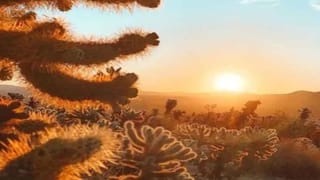 Video: ಚಿಂತೆಯಿಲ್ಲದ ಬಾಲ್ಯ; ಅಡುಗೆಯಾಟ ಆಡಿ ಸಂಭ್ರಮಿಸಿದ ಪುಟಾಣಿಗಳು