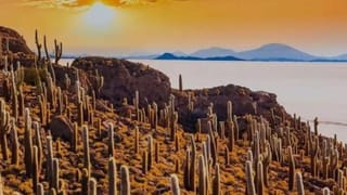 Viral: ಧರ್ಮದ ಎಲ್ಲೆ ಮೀರಿ ಒಂದಾದ ಅಪರೂಪದ ಜೋಡಿ; 3 ಅಡಿ ಎತ್ತರದ ವರನ ಕೈಹಿಡಿದ 5 ಅಡಿ ಯುವತಿ