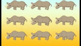 ಈ ಚಿತ್ರದಲ್ಲಿ ಎಷ್ಟು ಘೇಂಡಾಮೃಗಗಳಿವೆ ಗುರುತಿಸಿ ನೋಡೋಣ