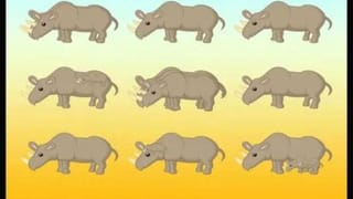 Optical Illusion: ಜಸ್ಟ್‌ 10 ಸೆಕೆಂಡುಗಳಲ್ಲಿ ಚಿತ್ರದಲ್ಲಿ ಎಷ್ಟು ಘೇಂಡಾಮೃಗಗಳಿವೆ ಗುರುತಿಸಿ ನೋಡೋಣ