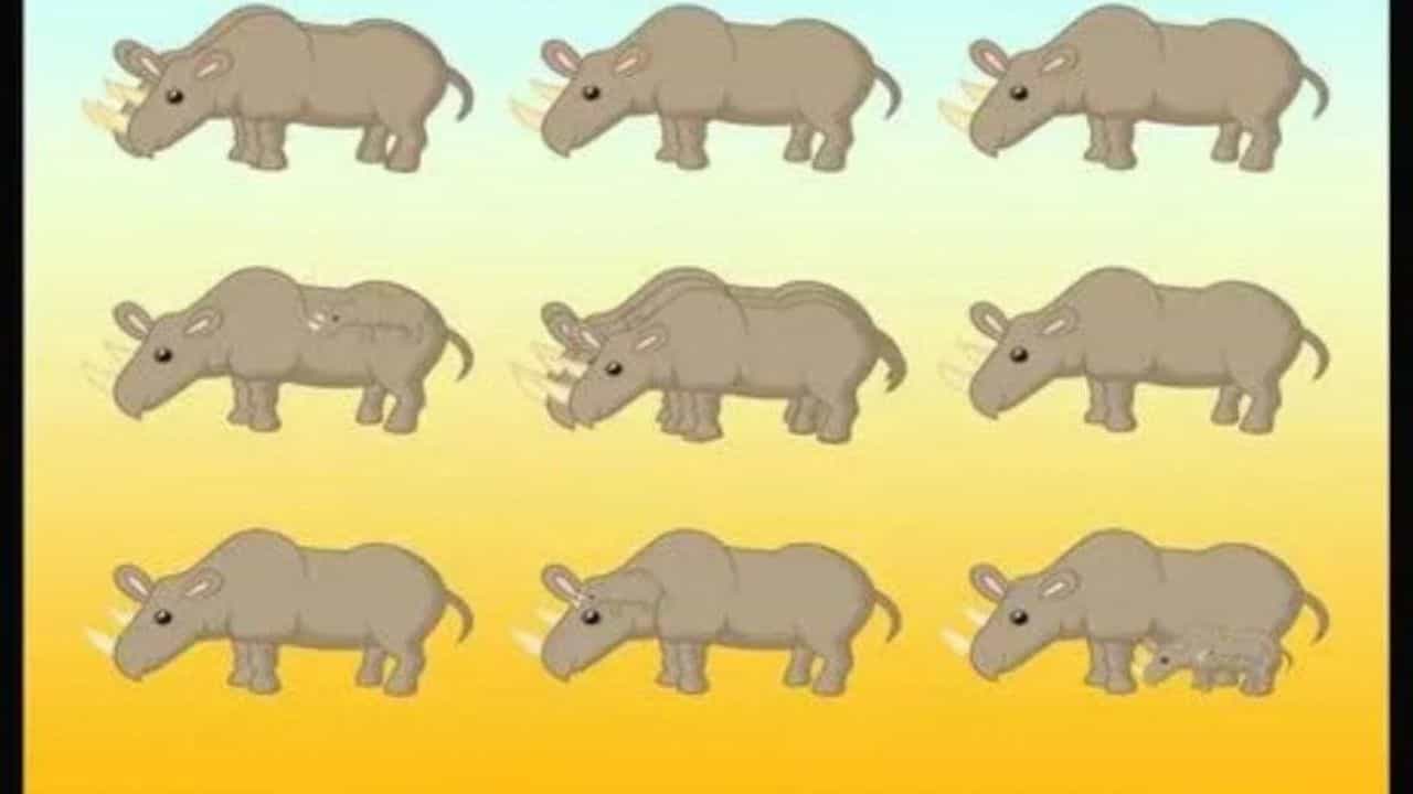 Optical Illusion: ಜಸ್ಟ್ 10 ಸೆಕೆಂಡುಗಳಲ್ಲಿ ಚಿತ್ರದಲ್ಲಿ ಎಷ್ಟು ಘೇಂಡಾಮೃಗಗಳಿವೆ ಗುರುತಿಸಿ ನೋಡೋಣ Optical Illusion: ಜಸ್ಟ್ 10 ಸೆಕೆಂಡುಗಳಲ್ಲಿ ಚಿತ್ರದಲ್ಲಿ ಎಷ್ಟು ಘೇಂಡಾಮೃಗಗಳಿವೆ ಗುರುತಿಸಿ ನೋಡೋಣ