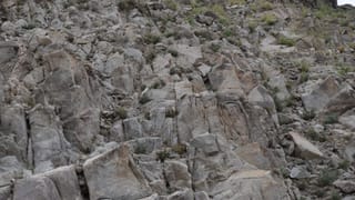 Optical Illusion: ಜಸ್ಟ್ 30 ಸೆಕೆಂಡುಗಳಲ್ಲಿ ಬೆಟ್ಟದ ಮೇಲೆ ಅಡಗಿರುವ ಕುರಿಯನ್ನು ಗುರುತಿಸಬಲ್ಲಿರಾ