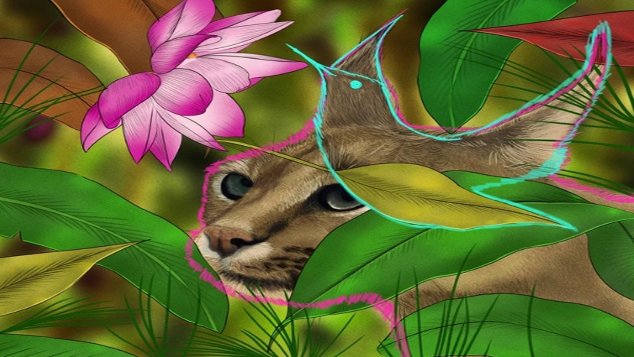 Optical Illusion Answer